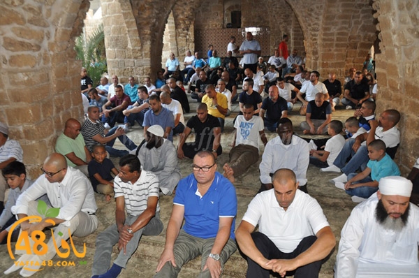 3ed ad7a ma7modiya (22).JPG